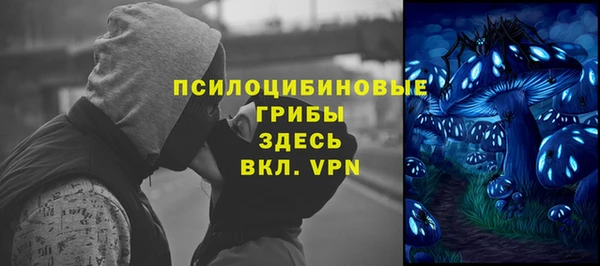 мет Алексин