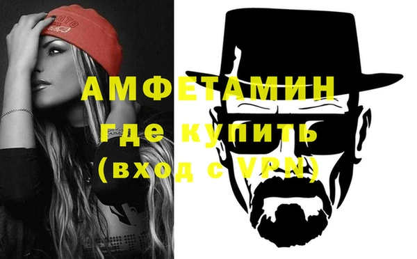 мет Алексин