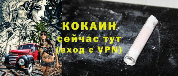 сатива Мегион