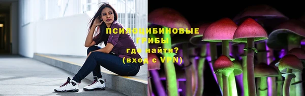 молекула духа Медвежьегорск