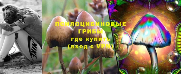 СК Алексеевка