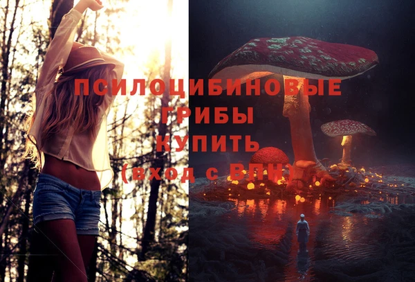 СК Алексеевка