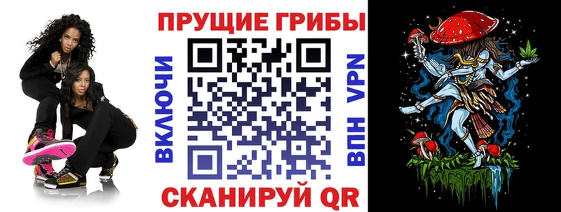 купить наркотики цена Неман Галлюциногенные грибы Psilocybine cubensis