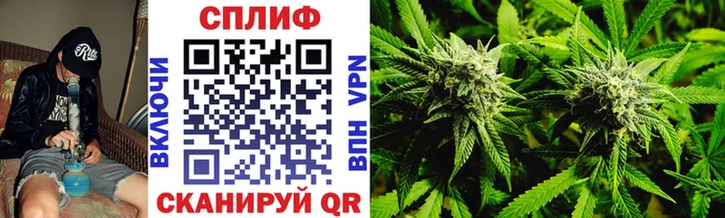 Канабис White Widow Неман